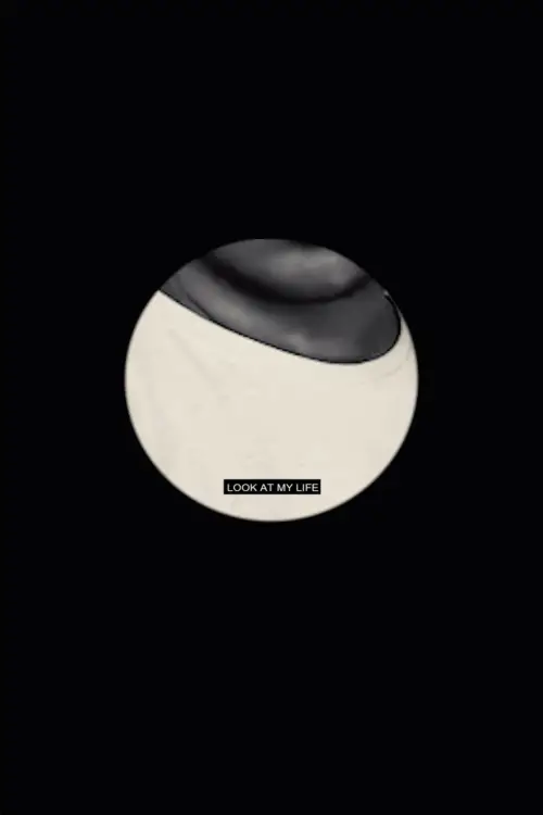 Постер до фільму "LOOK AT MY LIFE - DEMO"