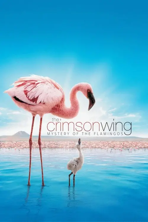 Постер до фільму "The Crimson Wing: Mystery of the Flamingos"