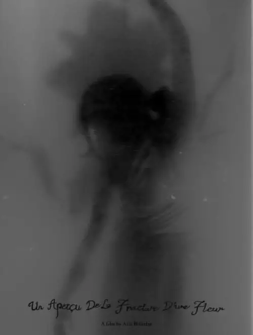 Постер до фільму "Un Aperçu De La Fracture D’une Fleur"