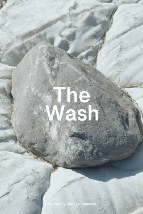 Постер до фільму "The Wash"