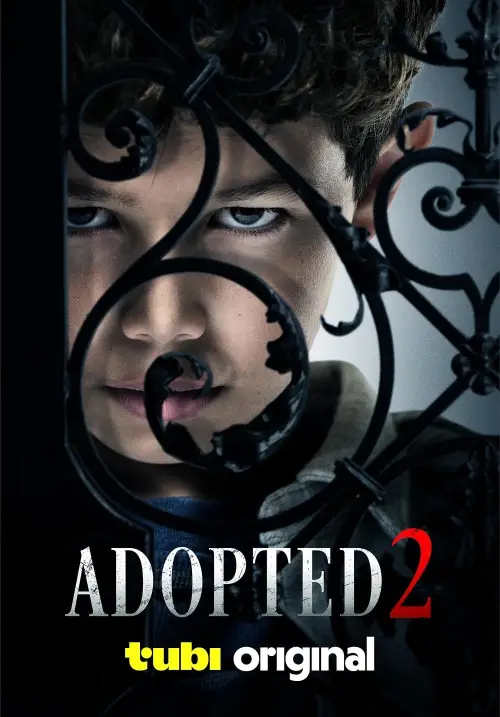 Постер до фільму "Adopted 2"
