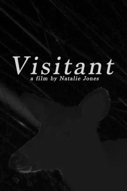 Постер до фільму "Visitant"