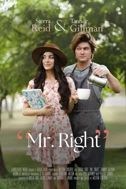 Постер до фільму "Mr. Right"