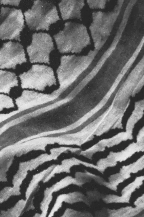 Постер до фільму "The City and Her Stones"