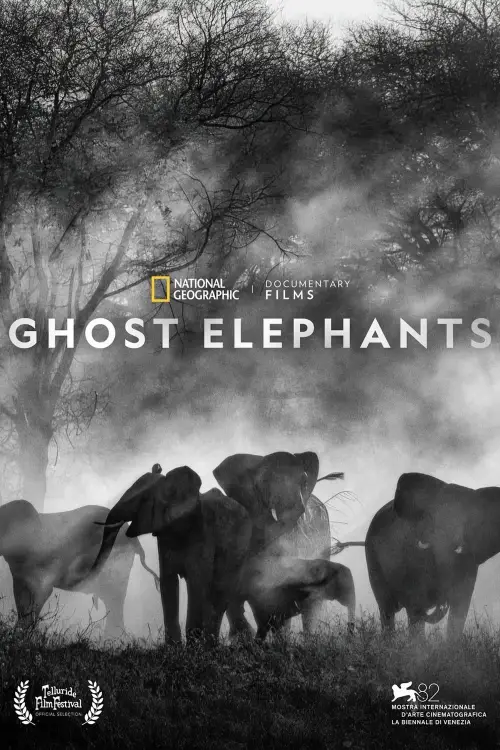 Постер до фільму "Ghost Elephants"
