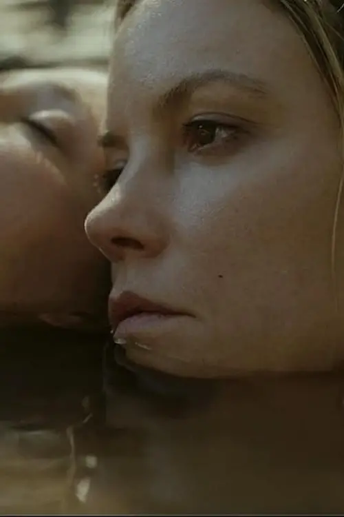 Постер до фільму "Magpie: One for Sorrow, Two for Joy"