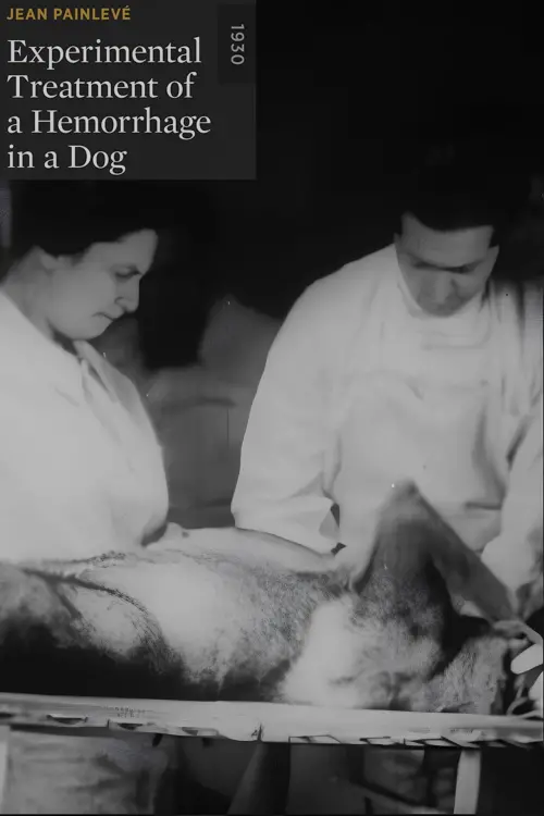 Постер до фільму "Experimental Treatment of a Hemorrhage in a Dog"