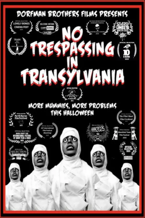 Постер до фільму "No Trespassing In Transylvania"