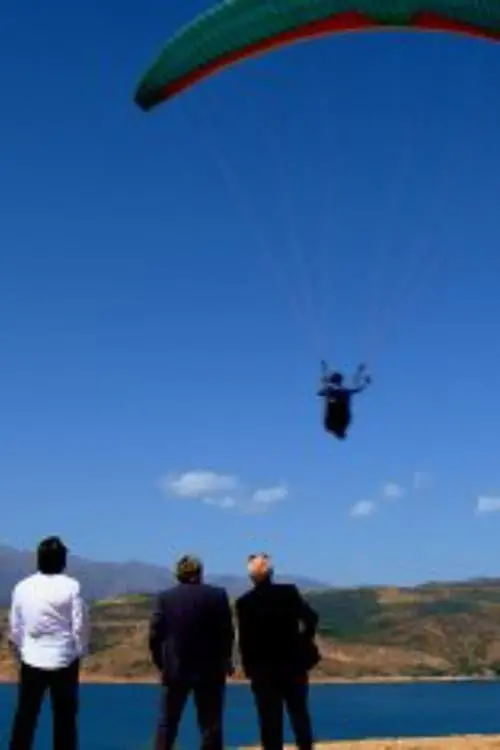 Постер до фільму "Shurochka"