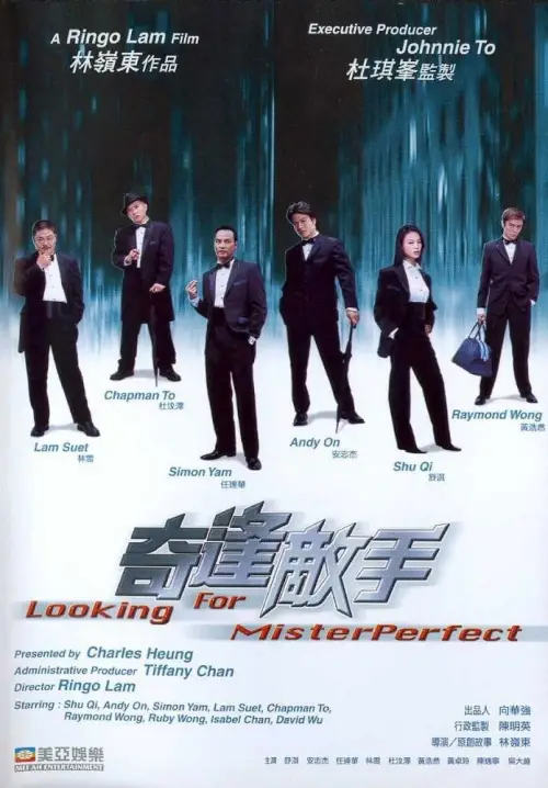 Постер до фільму "Looking for Mr. Perfect"
