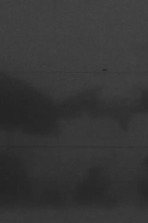 Постер до фільму "Q&A"