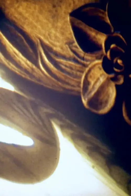 Постер до фільму "Dedication: Bernice Hodges"