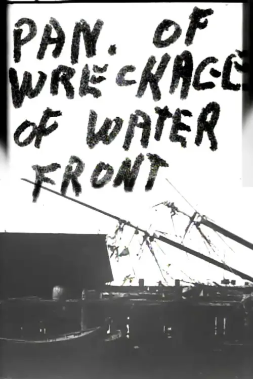 Постер до фільму "Panorama of Wreckage of Water Front"