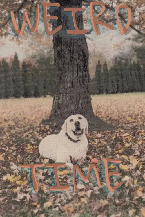 Постер до фільму "Weird Time"