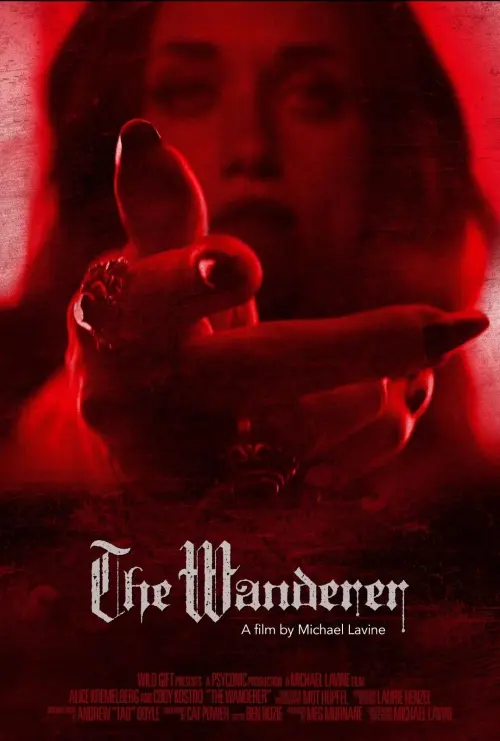 Постер до фільму "The Wanderer"