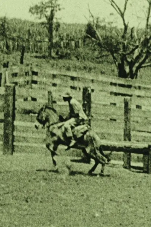 Постер до фільму "Auf einer Pferdefarm in Rio Grande!"