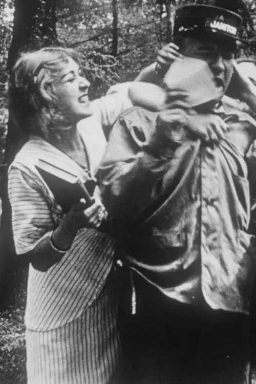 Постер до фільму "The Classmate