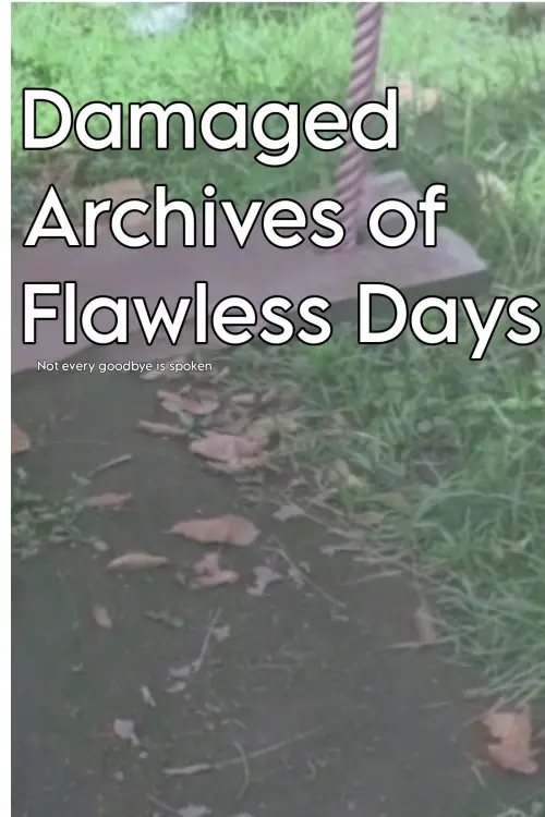 Постер до фільму "Damaged Archives of Flawless Days"