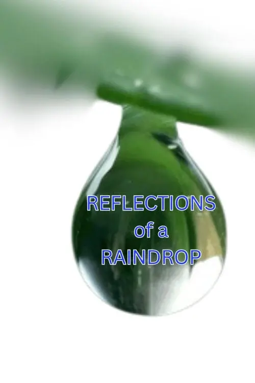 Постер до фільму "Reflections in a Raindrop: A Student Film"