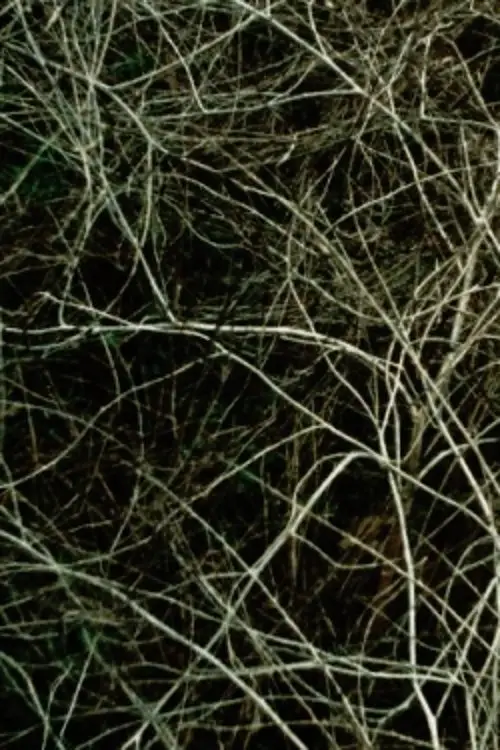 Постер до фільму "Epilogue"