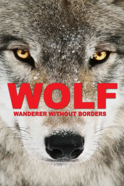 Постер до фільму "Wolf: Wanderer Without Borders"