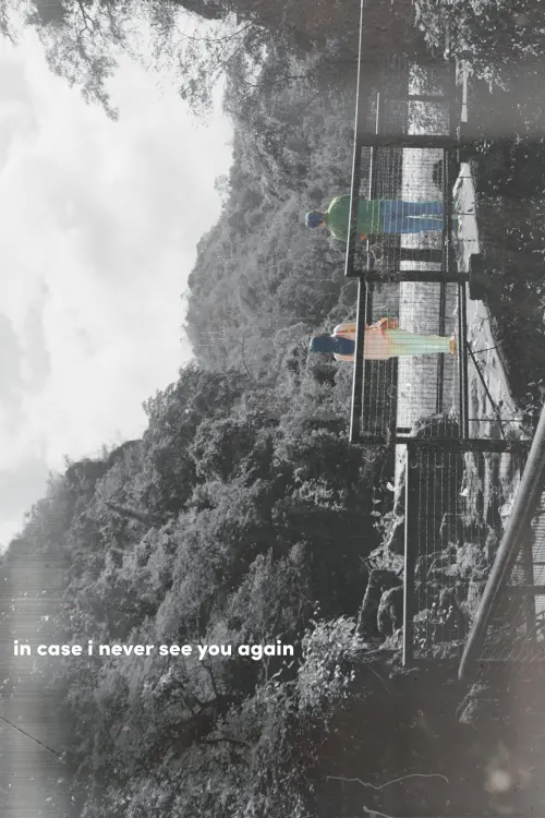 Постер до фільму "in case i never see you again"