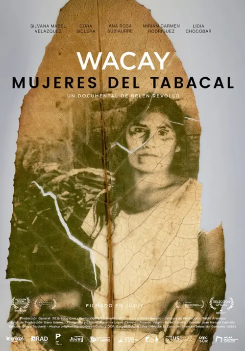 Постер до фільму "Wacay, Mujeres del Tabacal"