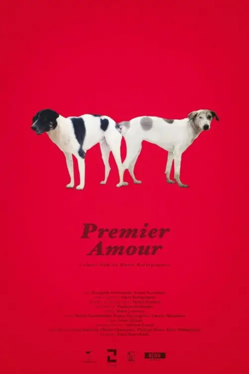 Постер до фільму "Premier Amour"
