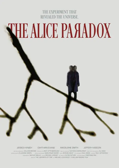Постер до фільму "The Alice Paradox"