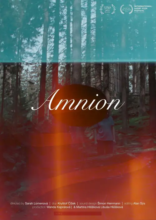 Постер до фільму "Amnion"