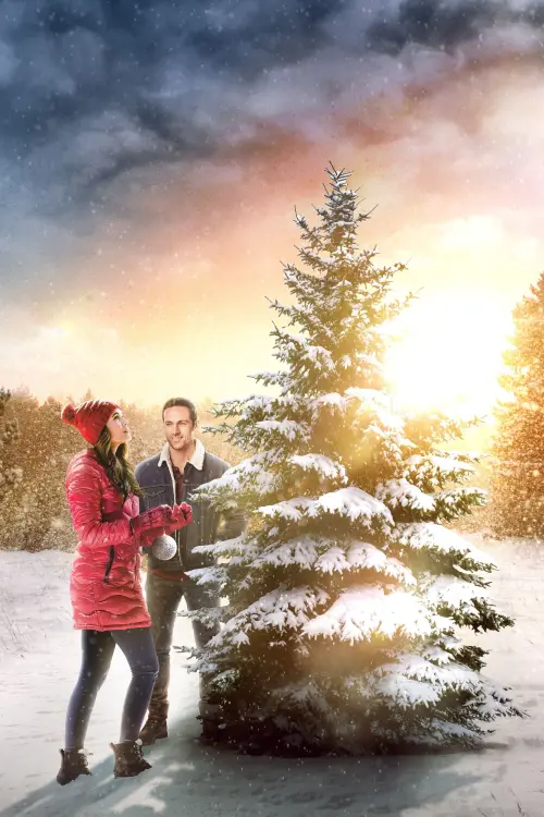 Постер до фільму "The Christmas Promise"