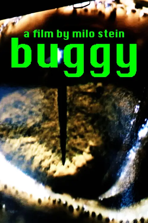 Постер до фільму "buggy"
