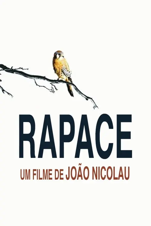 Постер до фільму "Bird of Prey"