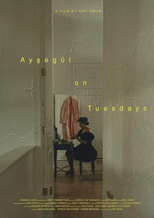 Постер до фільму "Ayşegül on Tuesdays"