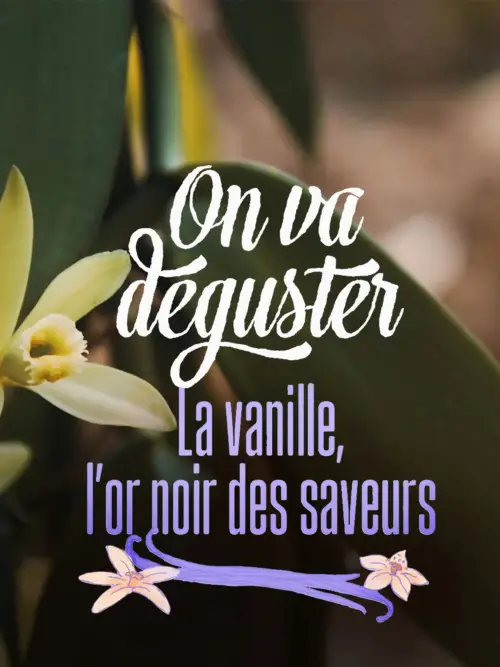 Постер до фільму "On va déguster : La vanille, l