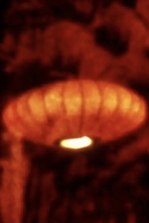 Постер до фільму "Пісня 18"