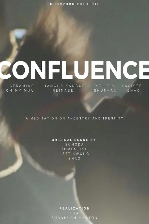 Постер до фільму "Confluence: A Meditation in Documentary Form"