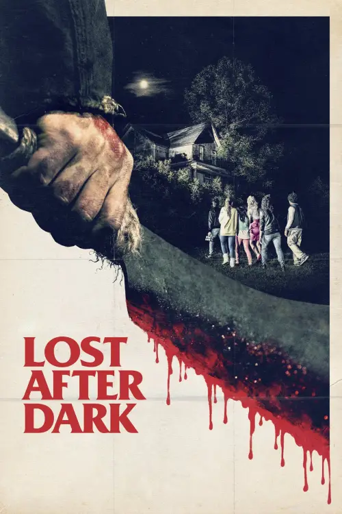 Постер до фільму "Lost After Dark"