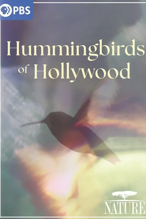Постер до фільму "Hummingbirds of Hollywood"