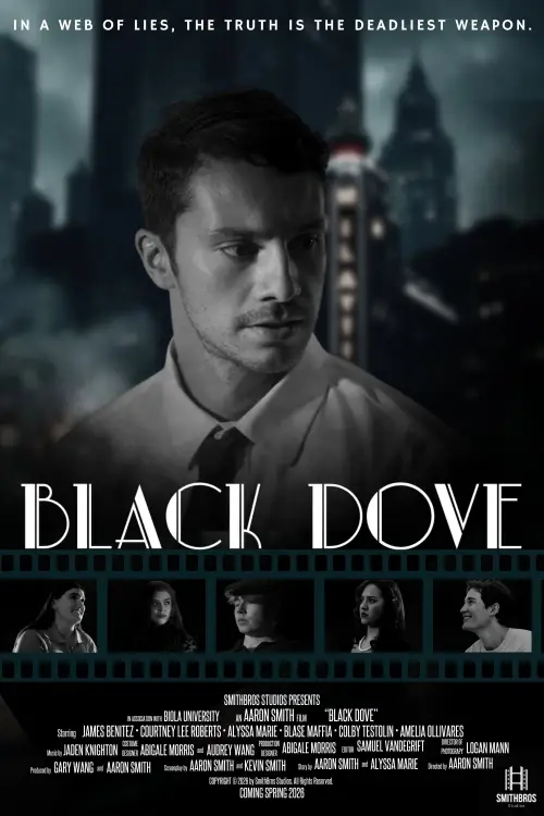 Постер до фільму "Black Dove"