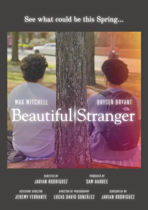 Постер до фільму "Beautiful Stranger"