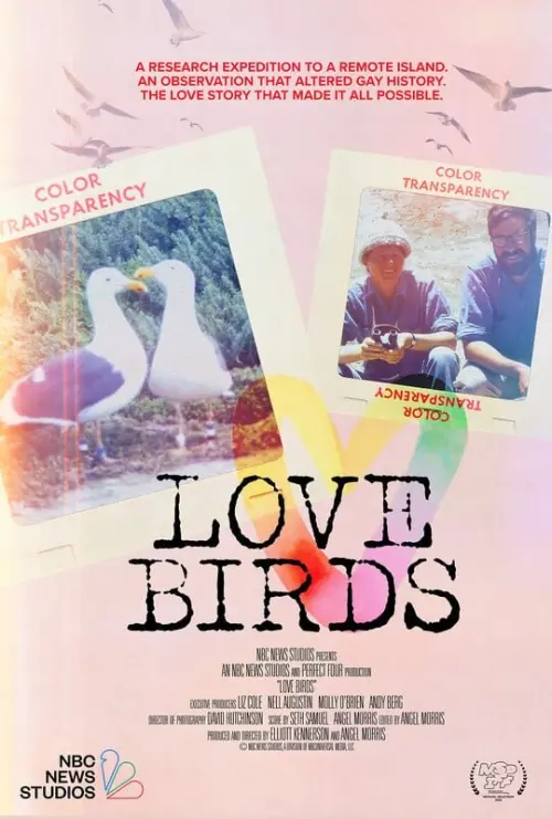 Постер до фільму "Love Birds"