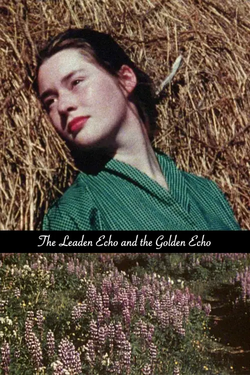 Постер до фільму "The Leaden Echo and the Golden Echo"