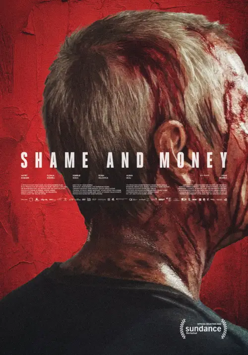 Постер до фільму "Shame and Money"