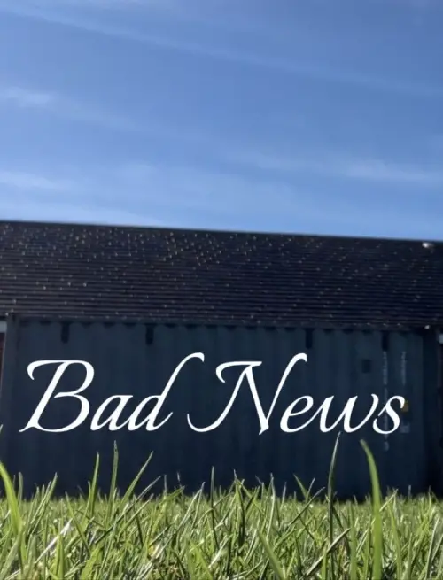 Постер до фільму ""Bad News""