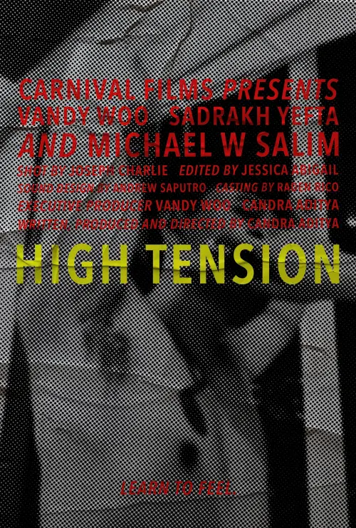 Постер до фільму "High Tension"