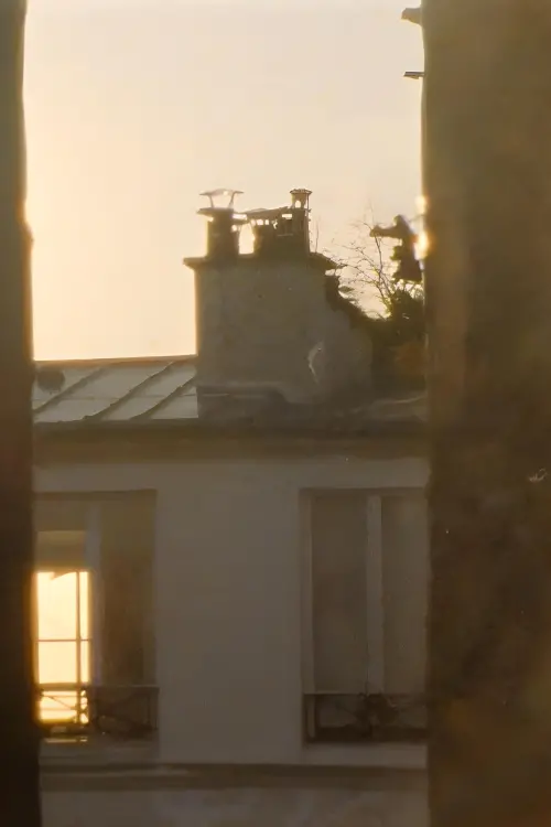 Постер до фільму "MARGOT"