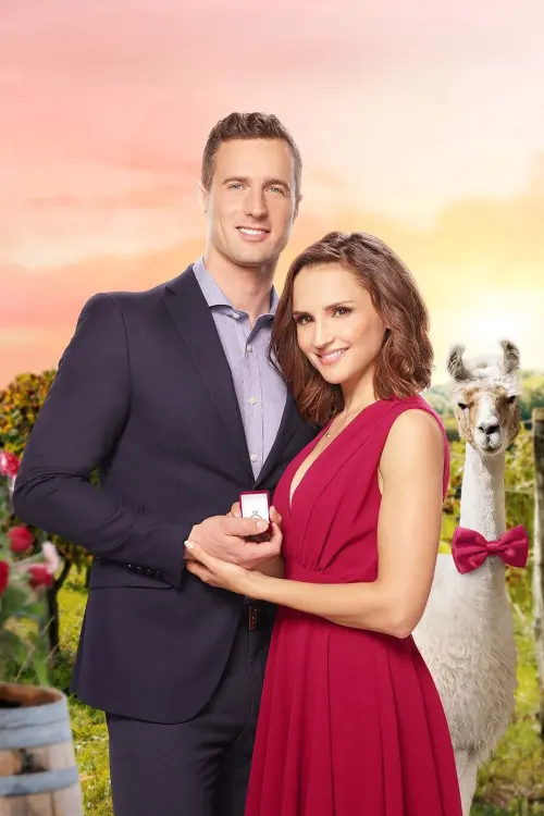 Постер до фільму "Valentine in the Vineyard"