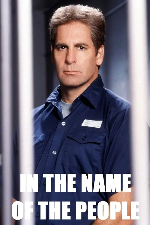 Постер до фільму "In the Name of the People"