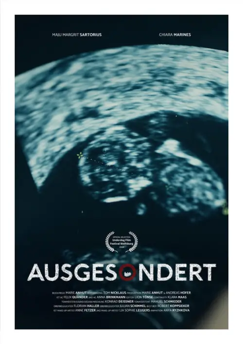 Постер до фільму "Screened Out"